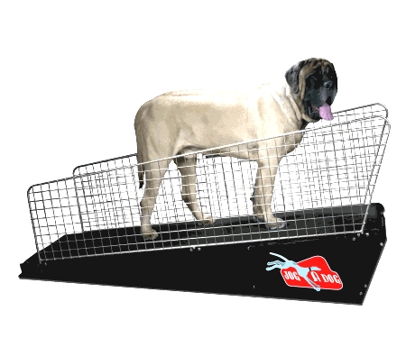 XL JOG A DOG Treadmill - Model DC7